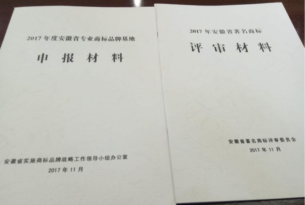 安徽省著名商標，專業(yè)商標品牌基地專家評審會召開